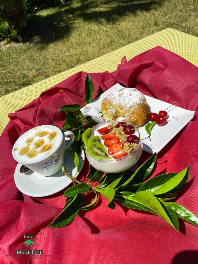 Hotel Mille Pini 吉诺萨滨海 外观 照片